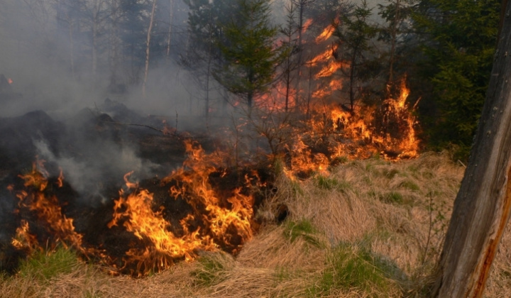 Fotka - Ochrana lesa pred požiarmi