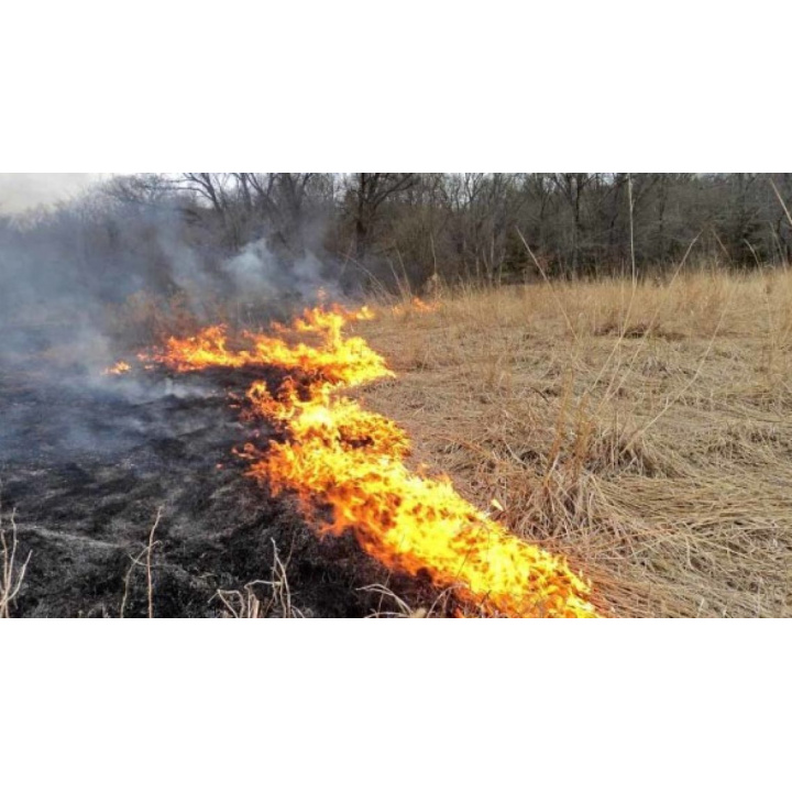 Požiarna prevencia - opatrenia a základné požiadavky na zabezpečenie ochrany lesov pred požiarmi